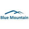 Blue Mountain Construction Services Logo