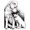 Blue Mountain Humane Association Logo