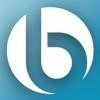 Blue Pearl Consulting Logo