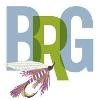 Blue Ridge Grill Logo