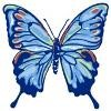 Blue Ridge Hospice Logo