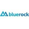 Blue Rock Consulting Logo