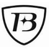 Blue Star Jets Logo