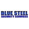 Blue Steel Security Logo