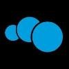 Blue Stone Logo