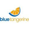 Blue Tangerine Solutions Logo
