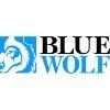 Blue Wolf Capital Partners Logo