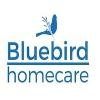 Bluebird Logo