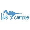 BlueCamroo Logo