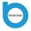 Bluecava Logo