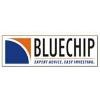 Bluechip Investment Logo