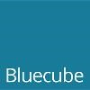 Bluecube Technology Solutions Logo