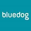 Bluedog Design Logo