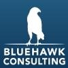 Bluehawk Consulting Logo
