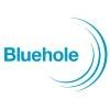 Bluehole Studio Logo