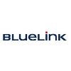BlueLink International Logo