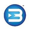 BlueMark Software Logo