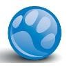 BluePearl Veterinary Partners Logo