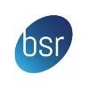 Bluestream Recruitment Logo