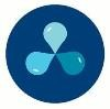 Bluetowne Logo