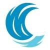 BlueWater Federal Solutions Logo