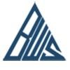 BlueWebSpark Logo