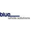 Bluewhale Solutions Logo