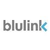 Blulink Logo