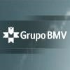 BMV Logo