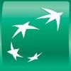 BNP Paribas Fortis Logo