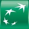 BNP Paribas Logo