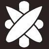 Boardriders Logo