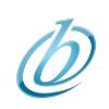 BOC Partners Logo