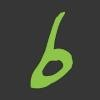 Bohemia Realty Group Logo