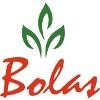 Bolas Intelli Solutions Logo