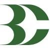 Bold Concepts Logo