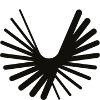 Boom Supersonic Logo