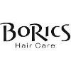 BoRics Logo