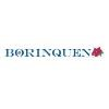 Borinquen Health Care Center Logo
