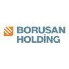 Borusan Logo