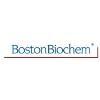 Boston Biochem Logo