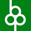 Boston Brace International Logo