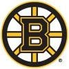 Boston Bruins Logo