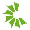 Bowman Power Group Logo