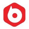 BPM Supreme Logo