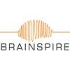 Brainspire Solutions Logo