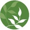 Braintree Rehabilitation Hospital Logo