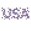 Brand USA Logo