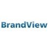 Brand View Logo