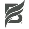 Brandfire Logo